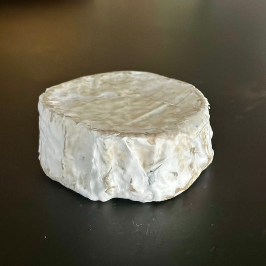 Little Squirrel Camembert