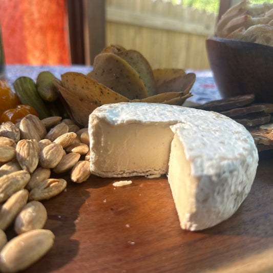 Little Squirrel Camembert