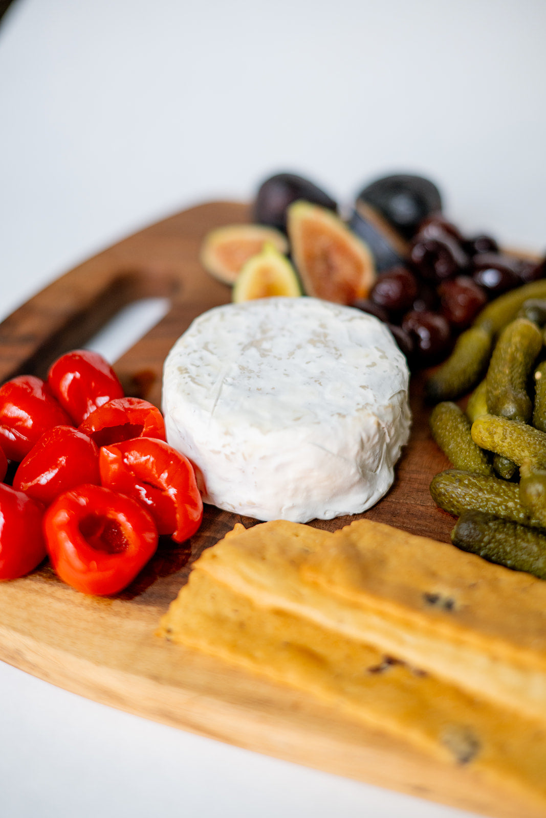 Little Squirrel Camembert