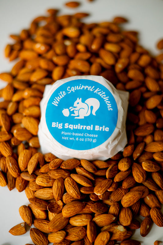 Big Squirrel Brie
