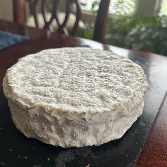 Big Squirrel Brie