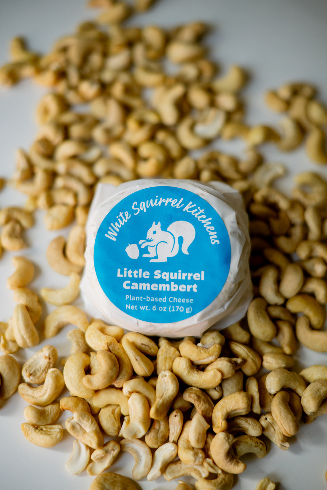 Little Squirrel Camembert